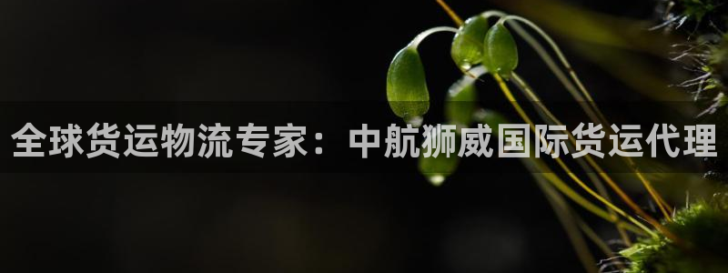 尊龙凯时网站怎么样：全球货运物流专家：中航狮威国际货运代