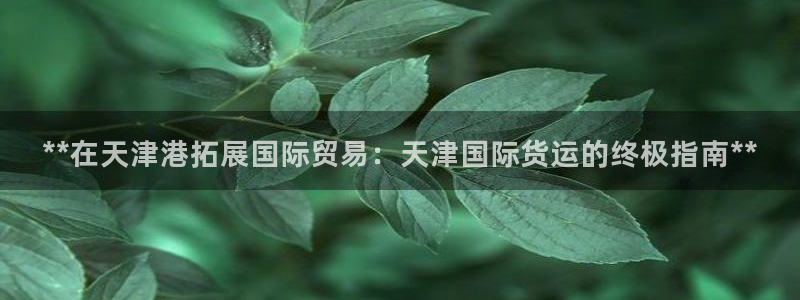尊龙手机官方客户端下载：**在天津港拓展国际贸易：天津国