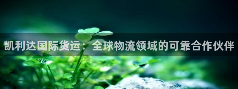 尊龙凯时一人生就是博官网：凯利达国际货运：全球物流领域的