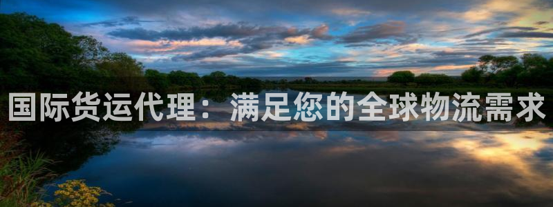 尊龙官网APP下载：国际货运代理：满足您的全球物流需求