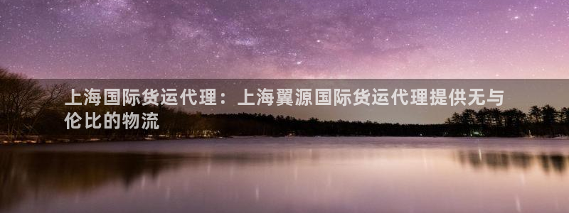 尊龙凯时注册入口：上海国际货运代理：上海翼源国际货运代理