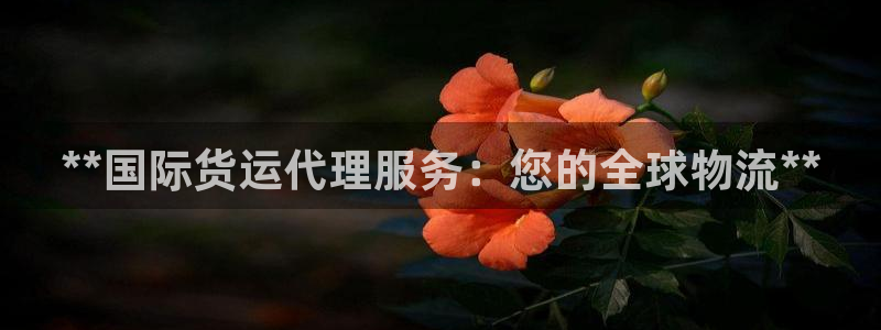 尊龙实业有限公司是正规还是仿：**国际货运代理服务：您的