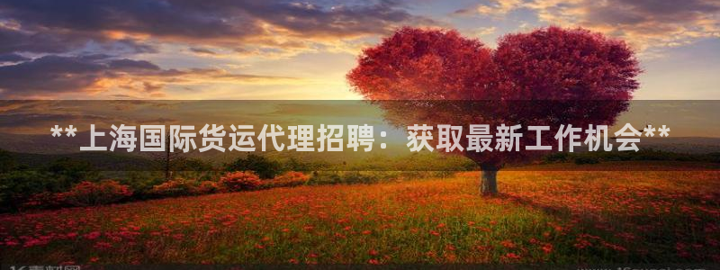 尊龙凯时最新平台登陆：**上海国际货运代理招聘：获取最新