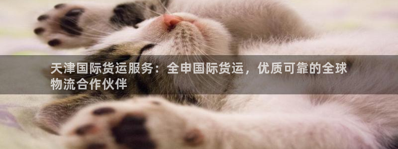 尊龙凯时平台官网：天津国际货运服务：全申国际货运，优质可