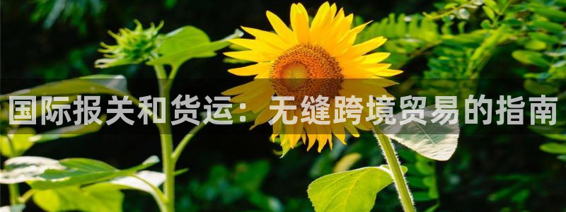 尊龙凯时平台怎么样：国际报关和货运：无缝跨境贸易的指南