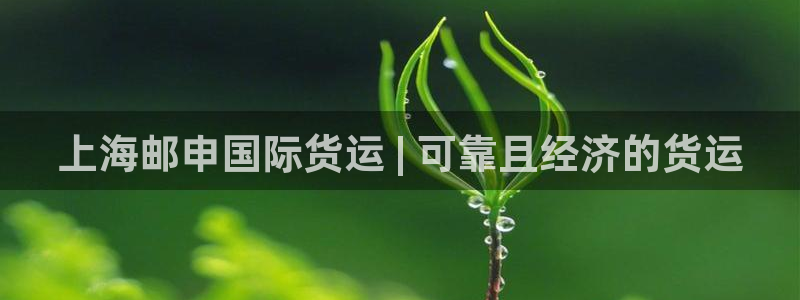 尊龙官网在哪里：上海邮申国际货运 | 可靠且经济的货运