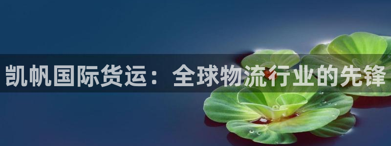 尊龙d88皆选ag发财网：凯帆国际货运：全球物流行业的先