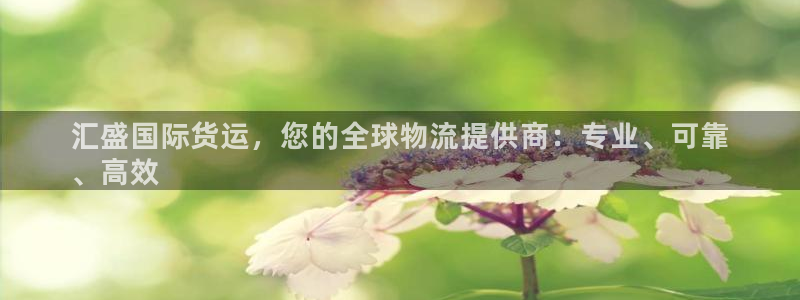 尊龙凯时里面的洗码：汇盛国际货运，您的全球物流提供商：专