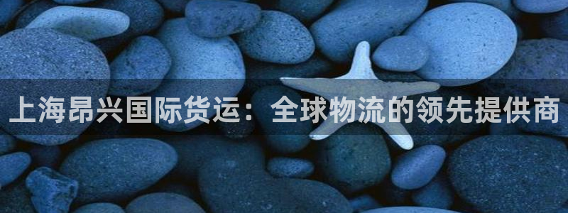 尊龙凯时网站怎么样：上海昂兴国际货运：全球物流的领先提供