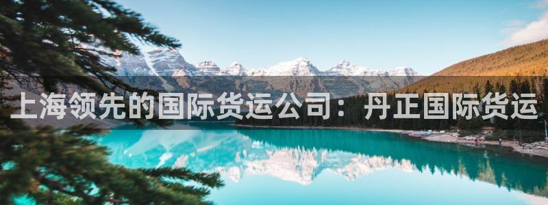 尊龙凯时新闻：上海领先的国际货运公司：丹正国际货运