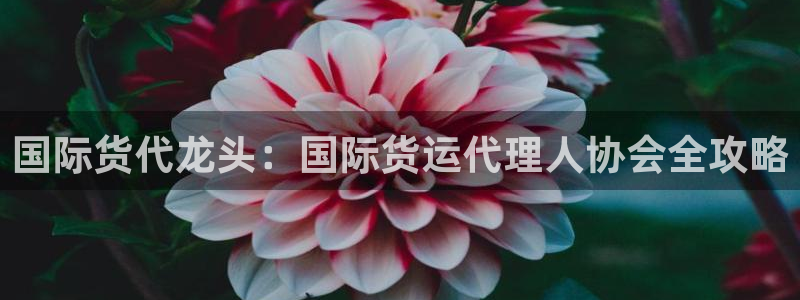 尊龙人生就是博登录准认来就送38：国际货代龙头：国际货运