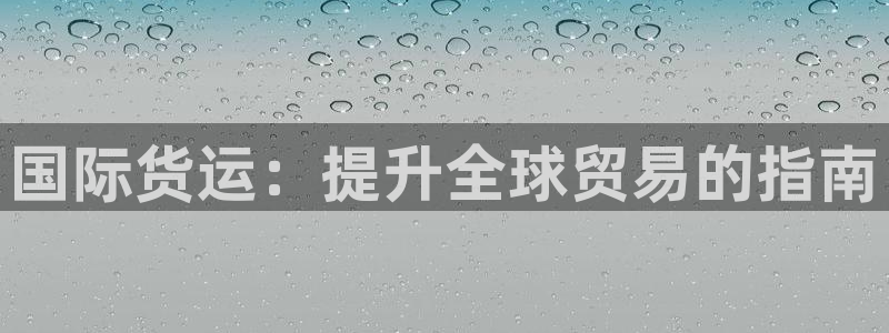 尊龙信息科技有限公司：国际货运：提升全球贸易的指南