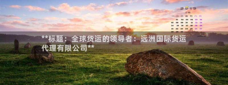 尊龙官网手机版：**标题：全球货运的领导者：远洲国际货运