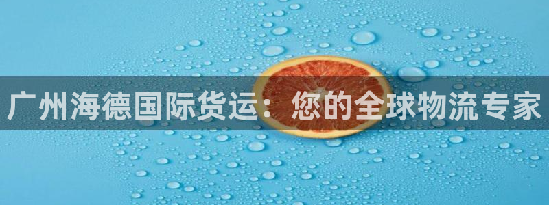 尊龙凯时代理能提出来不：广州海德国际货运：您的全球物流专