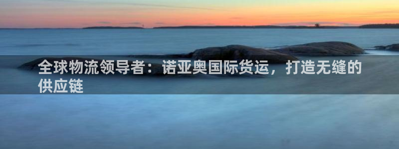 尊龙t600：全球物流领导者：诺亚奥国际货运，打造无缝的