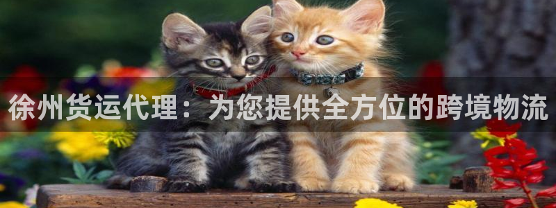 尊龙游戏官网：徐州货运代理：为您提供全方位的跨境物流
