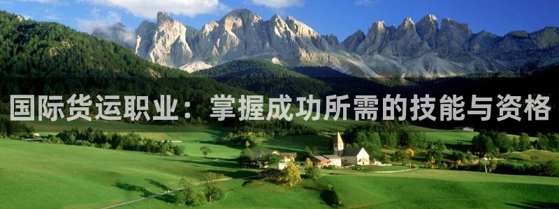 尊龙人生就是博首页入口：国际货运职业：掌握成功所需的技能