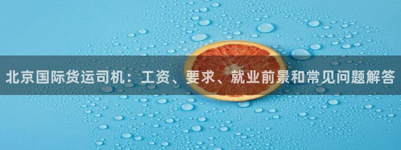 尊龙凯时网站登录：北京国际货运司机：工资、要求、就业前景