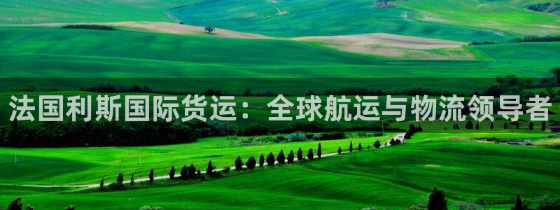 尊龙凯时vip：法国利斯国际货运：全球航运与物流领导者