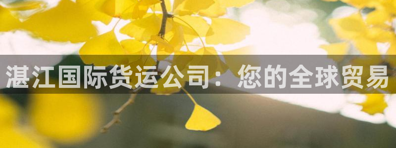 尊龙凯时输了100万：湛江国际货运公司：您的全球贸易