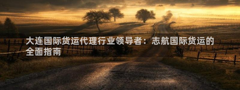 尊龙注册码：大连国际货运代理行业领导者：志航国际货运的
