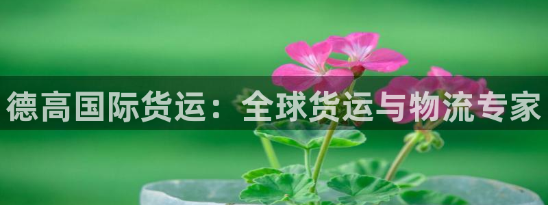 尊龙人生就是博一下下：德高国际货运：全球货运与物流专家