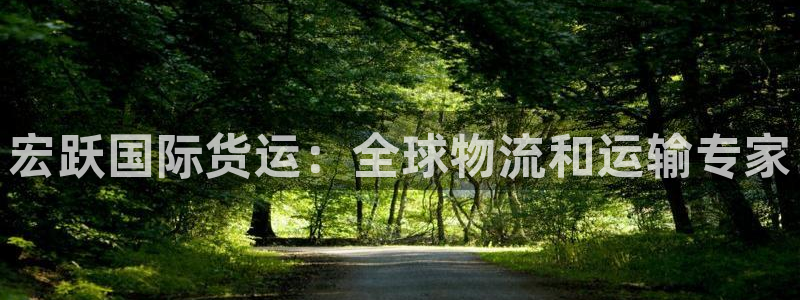 尊龙公司：宏跃国际货运：全球物流和运输专家