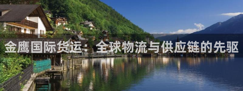 尊龙凯时电竞注册：金鹰国际货运：全球物流与供应链的先驱