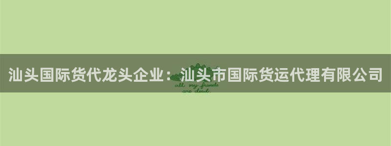 尊龙ag旗舰官网：汕头国际货代龙头企业：汕头市国际货运代