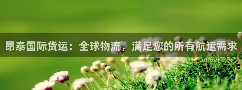 z6com尊龙：昂泰国际货运：全球物流，满足您的所有航运