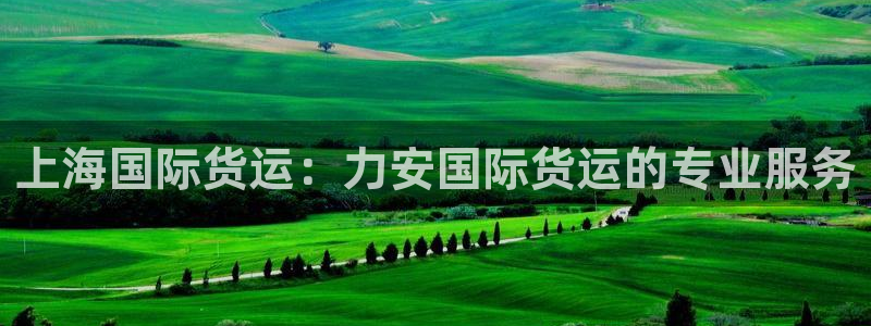 尊龙手机官方客户端下载：上海国际货运：力安国际货运的专业