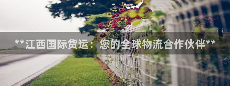 尊龙d88平台版下载：**江西国际货运：您的全球物流合作