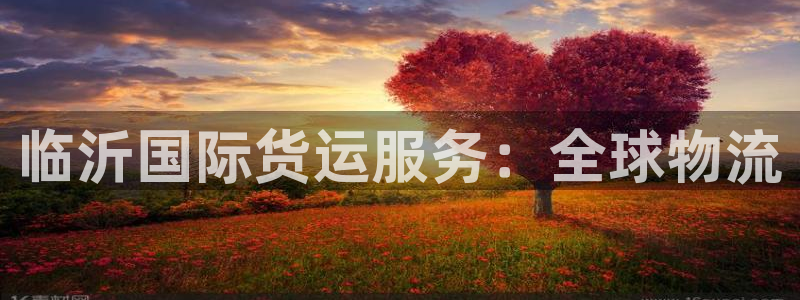 尊龙人生就是博登录：临沂国际货运服务：全球物流
