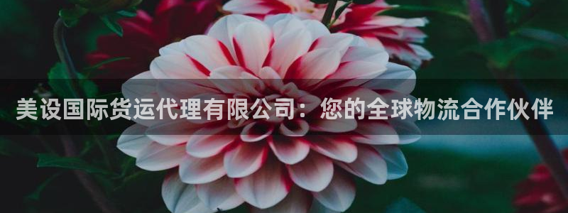 尊龙,人生就是搏：美设国际货运代理有限公司：您的全球物流