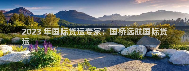 尊龙人生就是博旧版：2023 年国际货运专家：国桥远航国