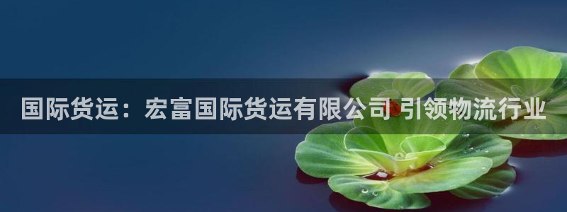 尊龙凯时 - 人生就是搏!：国际货运：宏富国际货运有限公