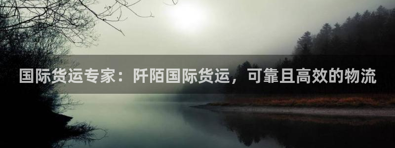 尊龙凯时怎么注销账号：国际货运专家：阡陌国际货运，可靠且