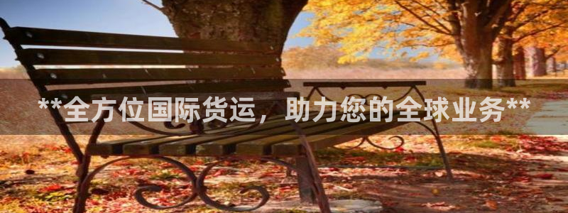 尊龙人生就是博菲律宾台子：**全方位国际货运，助力您的全