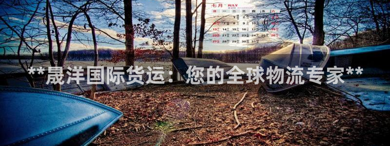 尊龙AG旗舰厅APP：**晟洋国际货运：您的全球物流专家