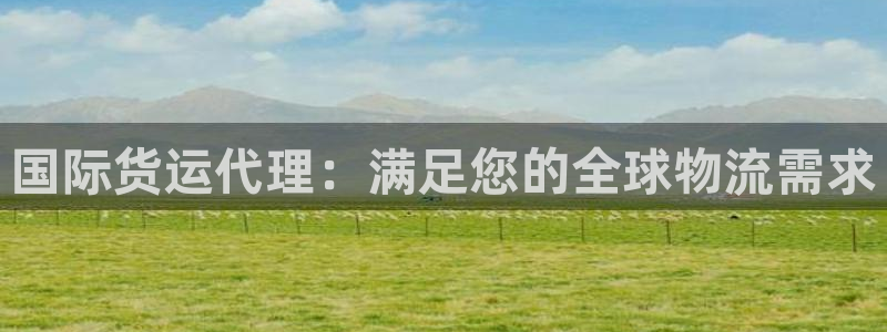 尊龙贴吧：国际货运代理：满足您的全球物流需求