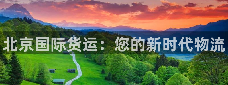 尊龙凯时不给提现怎么办：北京国际货运：您的新时代物流