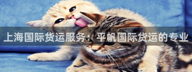 尊龙凯时不给提现怎么办：上海国际货运服务：平帆国际货运的