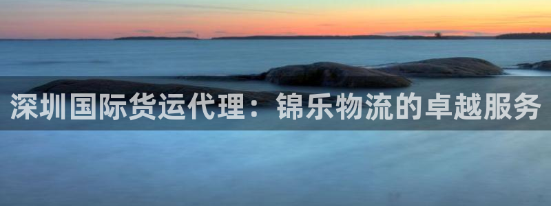 尊龙手机官方客户端下载安装：深圳国际货运代理：锦乐物流的