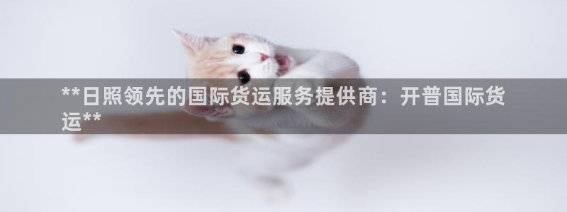 尊龙凯时平台不给出款怎么办：**日照领先的国际货运服务提