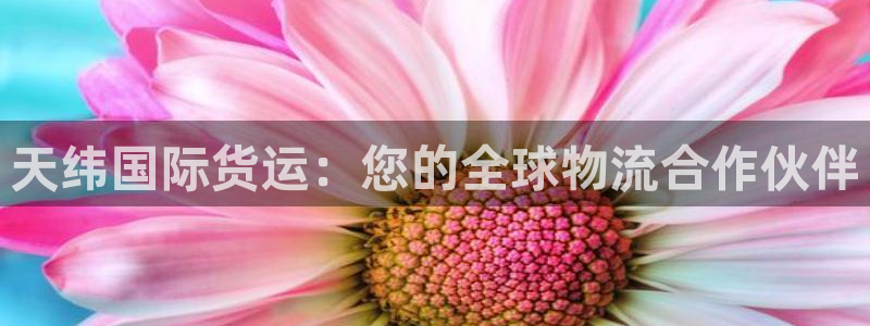 尊龙实业有限公司是正规还是仿：天纬国际货运：您的全球物流