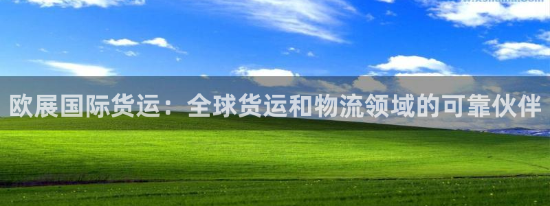 尊龙凯时城娱乐：欧展国际货运：全球货运和物流领域的可靠伙