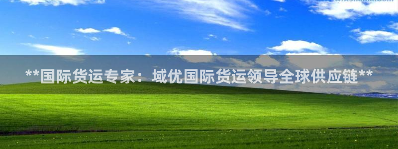 z6com尊龙凯时：**国际货运专家：域优国际货运领导全