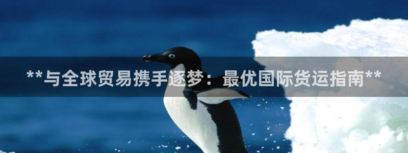 尊龙实业有限公司：**与全球贸易携手逐梦：最优国际货运指