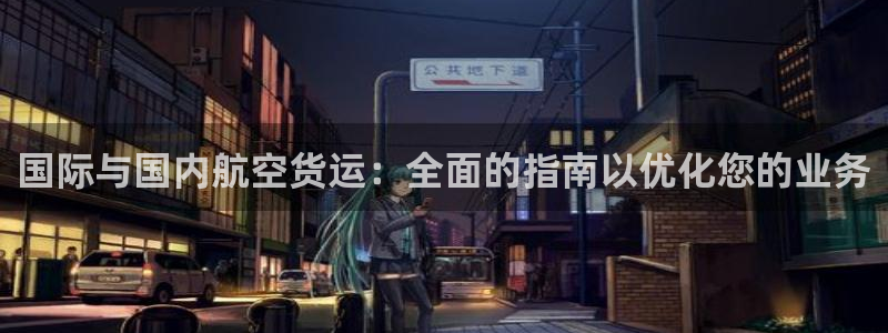 尊龙凯时合法吗?：国际与国内航空货运：全面的指南以优化您