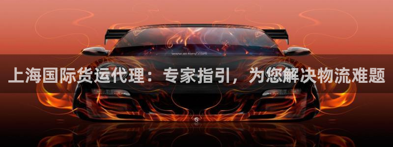 尊龙凯时官网：上海国际货运代理：专家指引，为您解决物流难